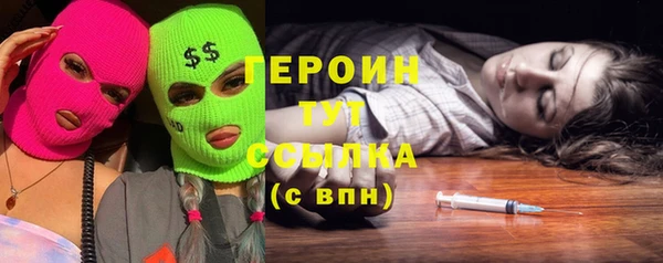 дурь Няндома