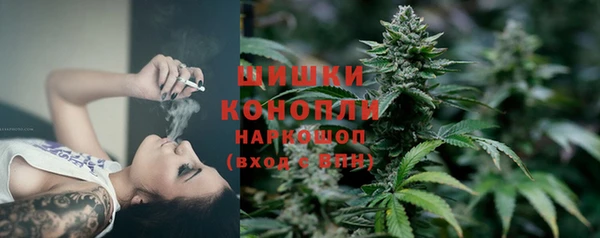 спайс Алексин
