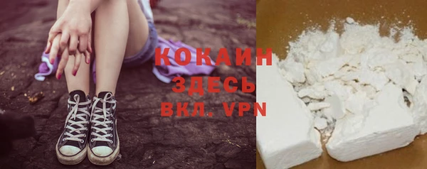 индика Алзамай
