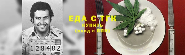 индика Алзамай