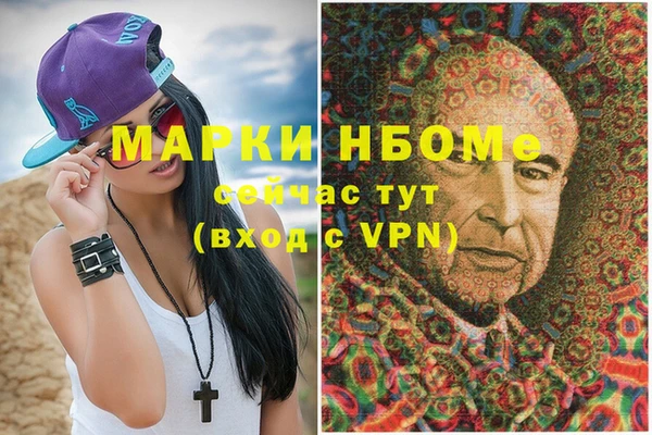 индика Алзамай